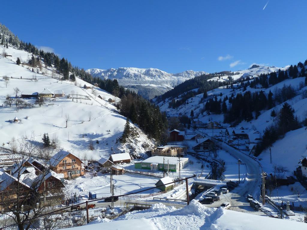 Ranger Chalet Hotel Moeciu De Sus Quarto foto