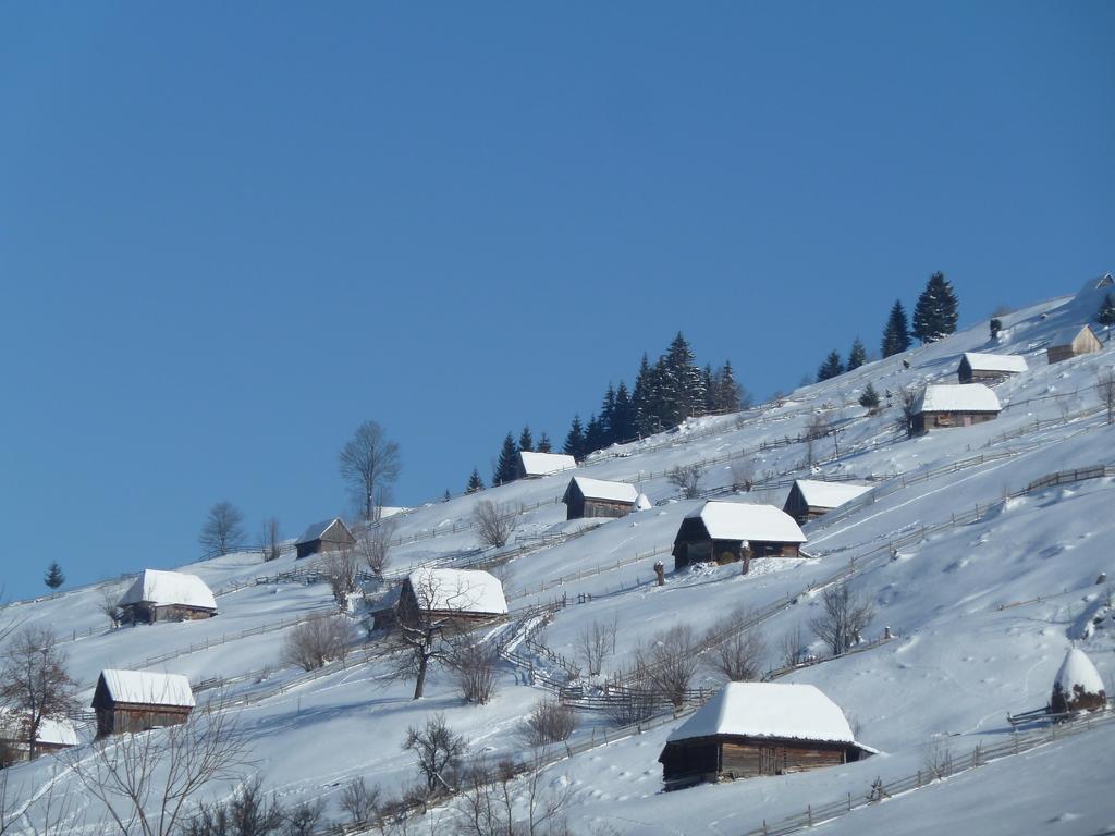 Ranger Chalet Hotel Moeciu De Sus Quarto foto